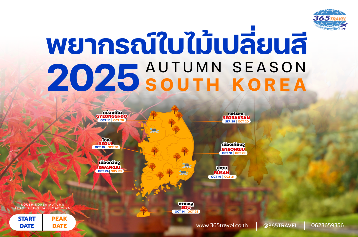 พยากรณ์ใบไม้เปลี่ยนสีเกาหลี2025