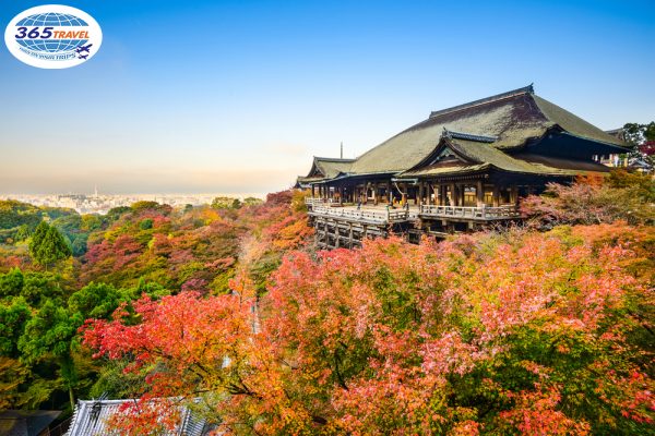 ทัวร์ญี่ปุ่นใบไม้เปลี่ยนสี Japan Autumn 2019 - 365Travel